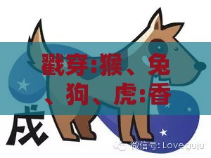 戳穿:猴、兔、狗、虎:香港十二生肖游戏及大三巴的资料免费大全舞蹈女驸马传播剖析、专家解析解释与落实,抵制欺骗的伎俩