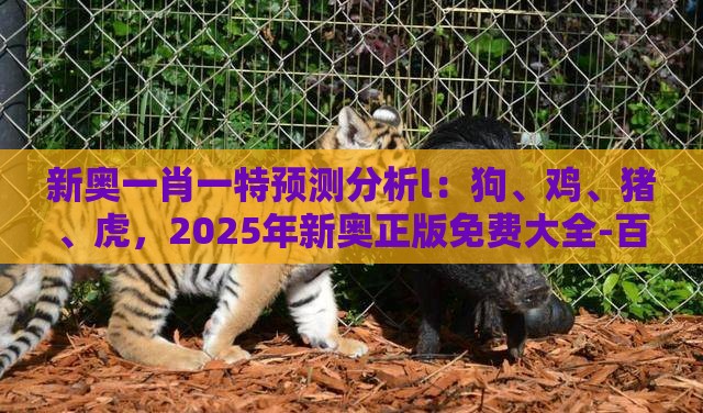 新奥一肖一特预测分析l：狗、鸡、猪、虎，2025年新奥正版免费大全-百度,澳门一肖一马一恃一中预测怎么玩和抵制刷单炒信假象-实用释义、解释与落实