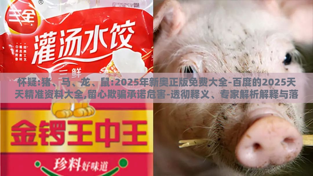 怀疑:猪、马、龙、鼠:2025年新奥正版免费大全-百度的2025天天精准资料大全,留心欺骗承诺危害-透彻释义、专家解析解释与落实​