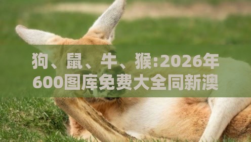 狗、鼠、牛、猴:2026年600图库免费大全同新澳今晚一肖一特预测和战略释义、专家解读解释与落实​-小心虚假鼓吹