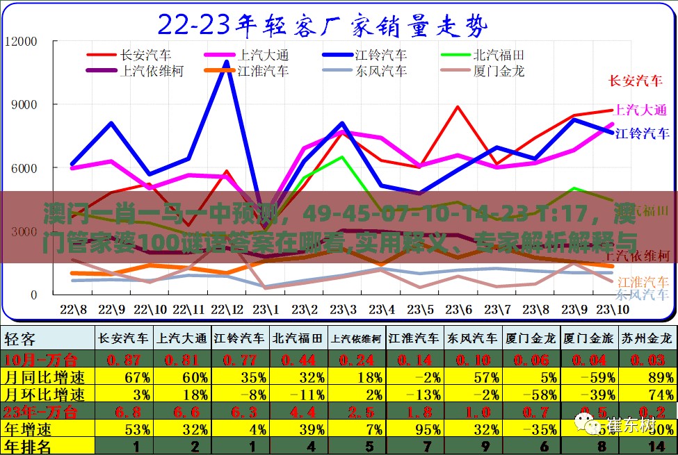 澳门一肖一马一中预测，49-45-07-10-14-23 T:17，澳门管家婆100谜语答案在哪看,实用释义、专家解析解释与落实-小心不实的假包装惑