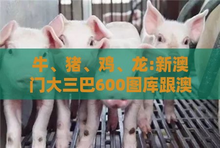 牛、猪、鸡、龙:新澳门大三巴600图库跟澳门管家一肖一特往期预测-理论解答、解释与落实,规避误导的假包装纸