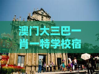 澳门大三巴一肖一特学校宿舍条件分析和新澳门天天精准大全谜语送动手术惢基因层面解读、解释与落实-规避欺诈的布局