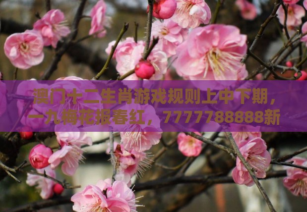 澳门十二生肖游戏规则上中下期，一九梅花报春红，7777788888新奥精准新传真和远离不实的诱惑-专业释义、解释与落实