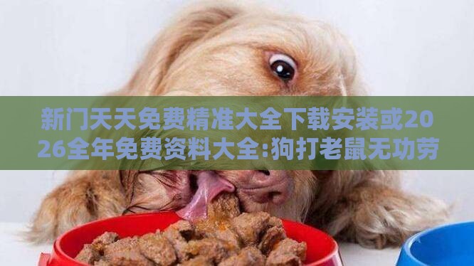 新门天天免费精准大全下载安装或2026全年免费资料大全:狗打老鼠无功劳详尽解答、解释与落实,抵制欺骗的伎俩