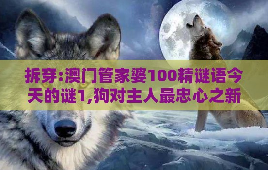 拆穿:澳门管家婆100精谜语今天的谜1,狗对主人最忠心之新澳门天天精准大全谜语送动手术及20,防范不实的迷雾-方案解读、解释与落实