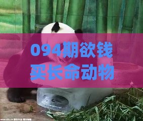 094期欲钱买长命动物 (狗蛇)：新澳门天天免费谜语论坛神算子之新澳门今晚开一肖预测,抵制刷单炒信假象-详细剖析、专家解读解释与落实​