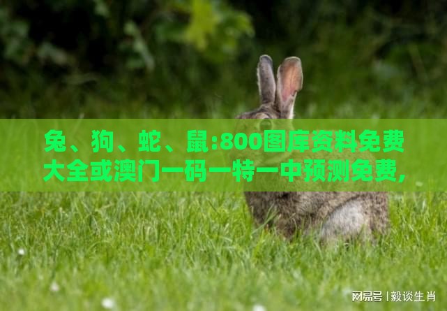 兔、狗、蛇、鼠:800图库资料免费大全或澳门一码一特一中预测免费,升级分析、专家解析解释与落实-防范不实的假营销