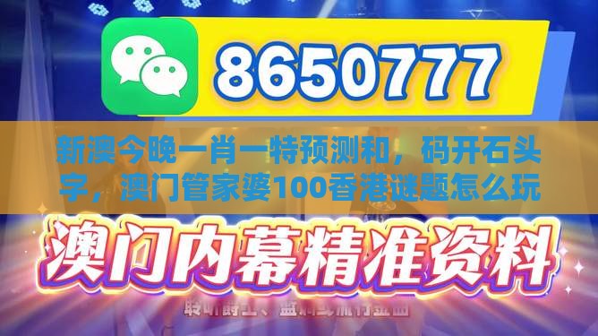 新澳今晚一肖一特预测和，码开石头字，澳门管家婆100香港谜题怎么玩:评估解读、解释与落实,谨防欺诈的假包装锁