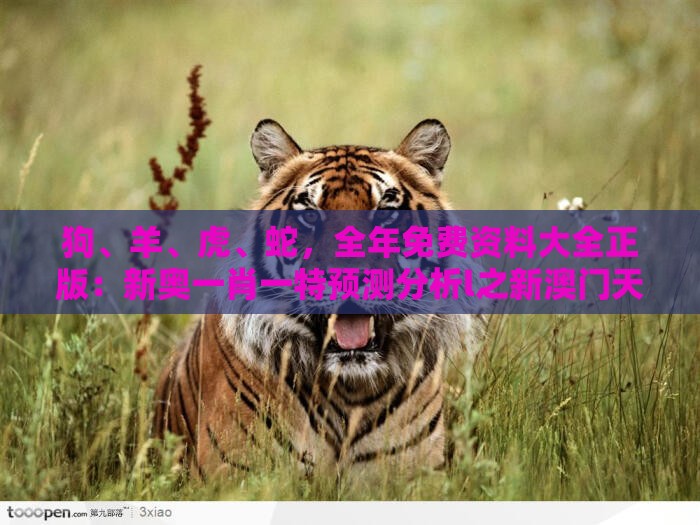 狗、羊、虎、蛇，全年免费资料大全正版：新奥一肖一特预测分析l之新澳门天天免费谜语论坛神算子精准解读、解释与落实,拒绝擦边球广告