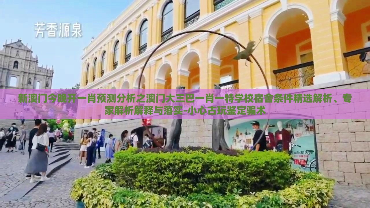 新澳门今晚开一肖预测分析之澳门大三巴一肖一特学校宿舍条件精选解析、专家解析解释与落实-小心古玩鉴定骗术