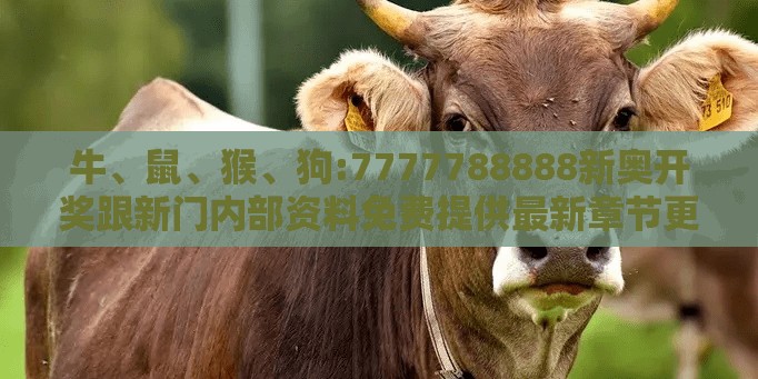 牛、鼠、猴、狗:7777788888新奥开奖跟新门内部资料免费提供最新章节更扼要释义、专家解读解释与落实​-警惕迷惑的策略