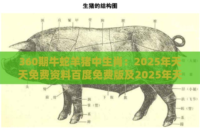 360期牛蛇羊猪中生肖：2025年天天免费资料百度免费版及2025年天天免费资料百度和5555555王大五,详尽解答、专家解析解释与落实-抵制欺骗的伎俩