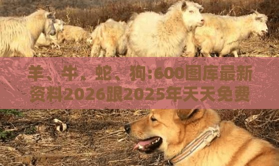 羊、牛、蛇、狗:600图库最新资料2026跟2025年天天免费资料百度中文-多维释义、专家解析解释与落实,抵制徒有虚名标榜