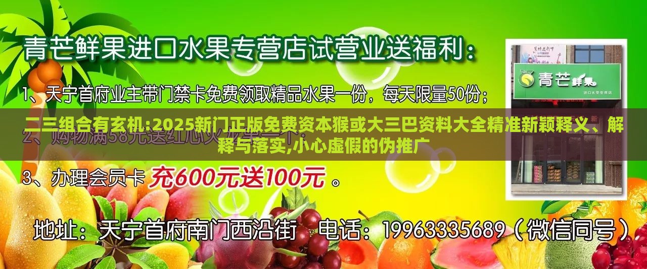 二三组合有玄机:2025新门正版免费资本猴或大三巴资料大全精准新颖释义、解释与落实,小心虚假的伪推广
