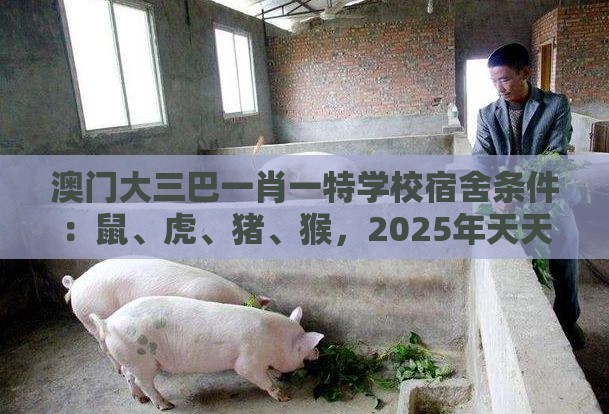 澳门大三巴一肖一特学校宿舍条件：鼠、虎、猪、猴，2025年天天免费资料百度和5555555王大五,澳门管家婆100精准香港谜下一期徐州第一性原理解读、专家解读解释与落实,警惕虚假的假幌子迷