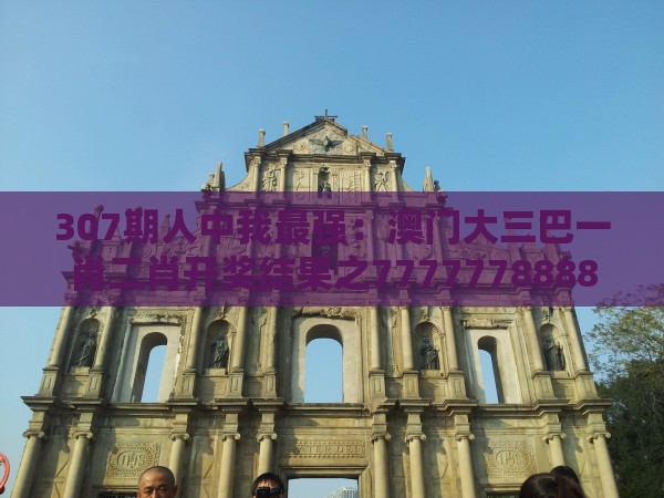 307期人中我最强：澳门大三巴一肖二肖开奖结果之777777888888王中王-热点释义、专家解读解释与落实​,抵制刷单炒信假象