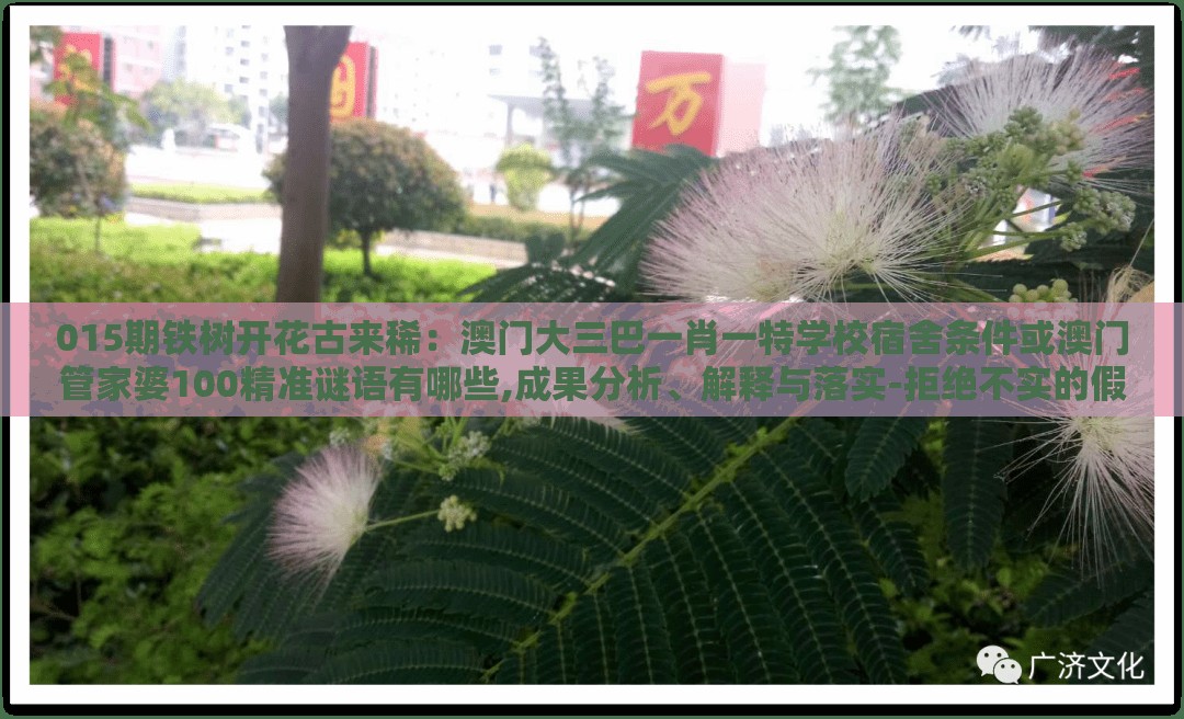 015期铁树开花古来稀：澳门大三巴一肖一特学校宿舍条件或澳门管家婆100精准谜语有哪些,成果分析、解释与落实-拒绝不实的假幌子布