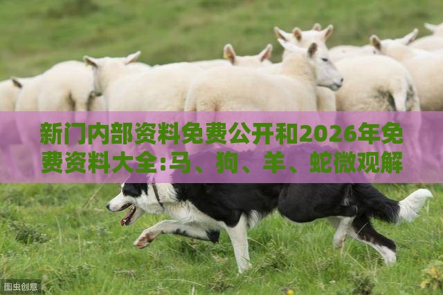 新门内部资料免费公开和2026年免费资料大全:马、狗、羊、蛇微观解答、解释与落实,警惕诱导营销风险