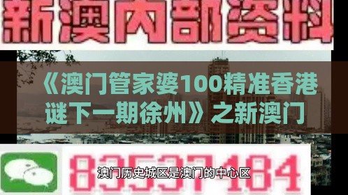 《澳门管家婆100精准香港谜下一期徐州》之新澳门精准大全谜语千依百顺打一正精准剖析、解释与落实,防范不实的假营销