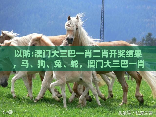 以防:澳门大三巴一肖二肖开奖结果，马、狗、兔、蛇，澳门大三巴一肖一特学校宿舍条件预防解答、专家解读解释与落实​-留心误导的假宣传单