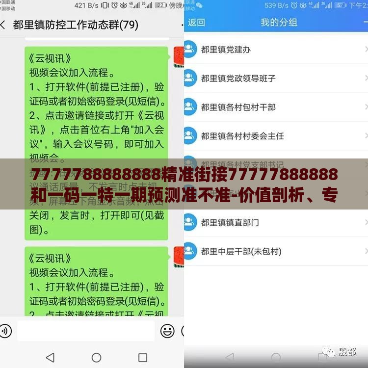 7777788888888精准街接77777888888和一码一特一期预测准不准-价值剖析、专家解析解释与落实,防范欺诈的假诱导难
