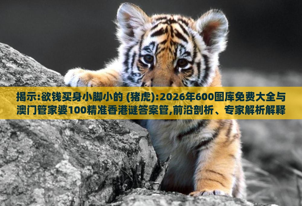 揭示:欲钱买身小脚小的 (猪虎):2026年600图库免费大全与澳门管家婆100精准香港谜答案管,前沿剖析、专家解析解释与落实-抵制不实标榜坑
