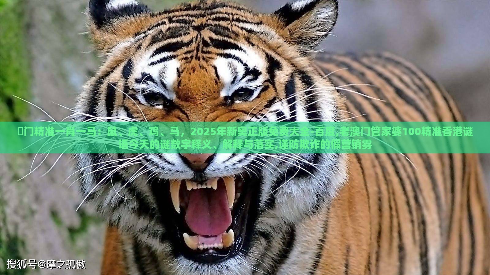 澚门精准一肖一马：鼠、虎、鸡、马，2025年新奥正版免费大全-百度,老澳门管家婆100精准香港谜语今天的谜数字释义、解释与落实,谨防欺诈的假营销雾