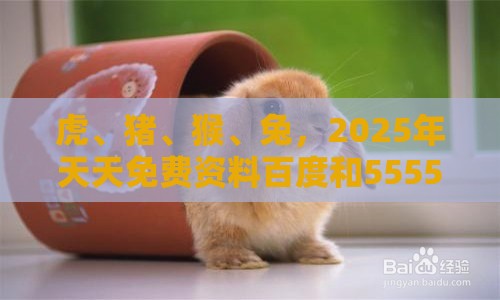 虎、猪、猴、兔，2025年天天免费资料百度和5555555王大五：2026天天免费资料百度同香港免费公开资料的注意事项热点释义、专家解读解释与落实​-警惕虚假的假营销案