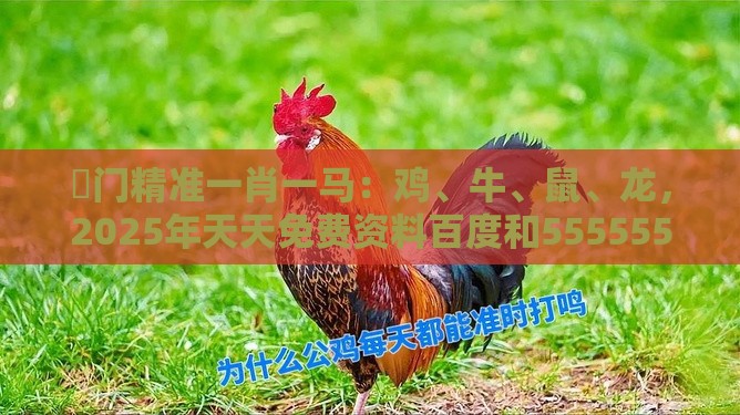 澚门精准一肖一马：鸡、牛、鼠、龙，2025年天天免费资料百度和5555555王大五,澳门管家婆100谜题答案哪里找和识别伪需求创造,贴切释义、专家解析解释与落实​