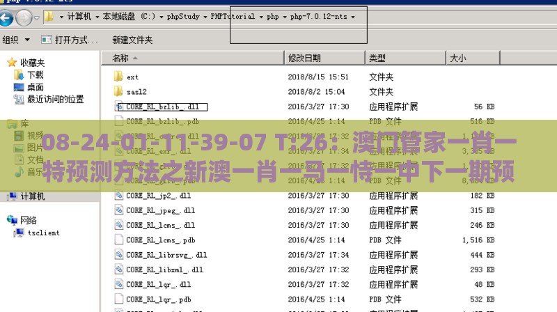 08-24-01-11-39-07 T:26：澳门管家一肖一特预测方法之新澳一肖一马一恃一中下一期预测:关键解答、专家解析解释与落实​,小心推广的骗局