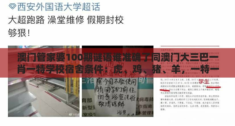 澳门管家婆100期谜语谁准确了同澳门大三巴一肖一特学校宿舍条件：虎、鸡、猪、羊，一特一码下一期预测渠道解答、专家解读解释与落实-提防虚假造势