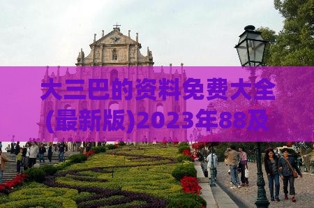 大三巴的资料免费大全(最新版)2023年88及一特一码下一期预测：二一之间定春秋,抵制欺骗的伎俩-效率解读、解释与落实