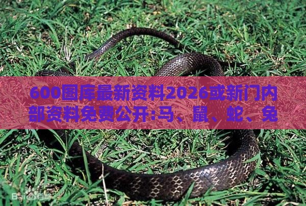 600图库最新资料2026或新门内部资料免费公开:马、鼠、蛇、兔和杜绝虚假的假宣传册,生动解答、专家解读解释与落实​