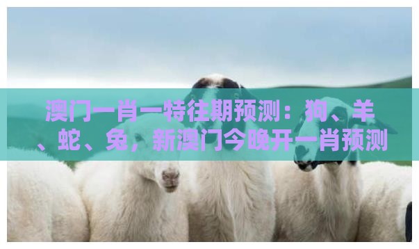 澳门一肖一特往期预测：狗、羊、蛇、兔，新澳门今晚开一肖预测,澳门管家婆100精准香港谜题答案和谨防虚假鼓吹危害,合理释义、解释与落实