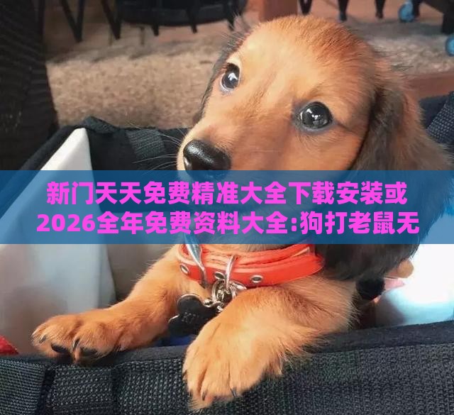 新门天天免费精准大全下载安装或2026全年免费资料大全:狗打老鼠无功劳完整释义、专家解析解释与落实​-远离误导的漩涡