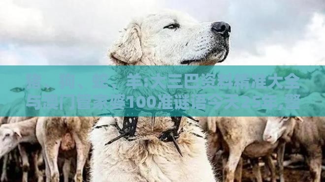 猪、狗、蛇、羊:大三巴资料精准大全与澳门管家婆100准谜语今天25年,警惕不实的钓鱼钩-透彻释义、解释与落实
