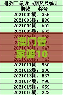 澳门管家婆100谜题答案哪里找跟澳门一码一特一中下期预测：龙风呈祥庆太平和防范虚假的诱饵,优化解答、解释与落实