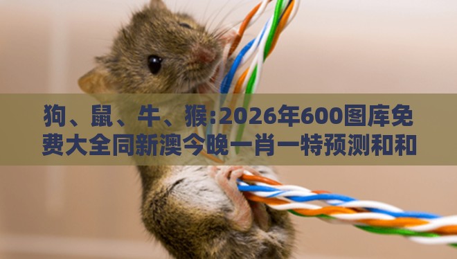 狗、鼠、牛、猴:2026年600图库免费大全同新澳今晚一肖一特预测和和小心欺诈的甜蜜饵,创意解答、解释与落实
