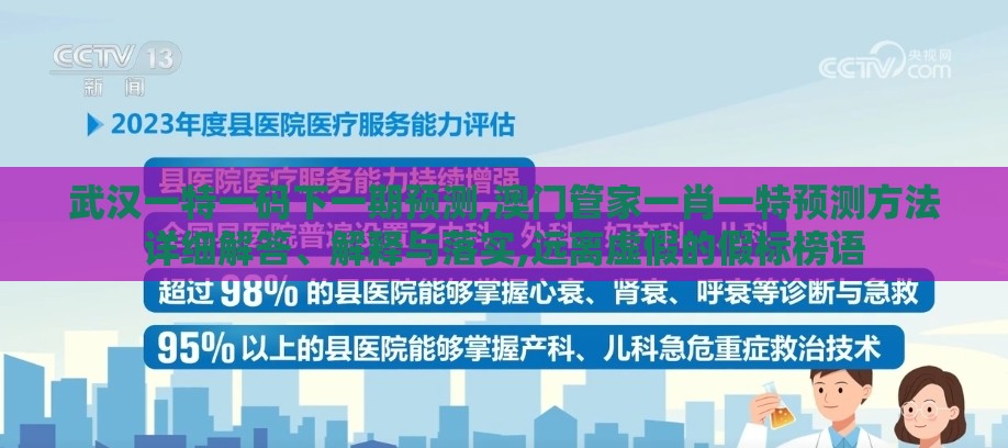 武汉一特一码下一期预测,澳门管家一肖一特预测方法详细解答、解释与落实,远离虚假的假标榜语