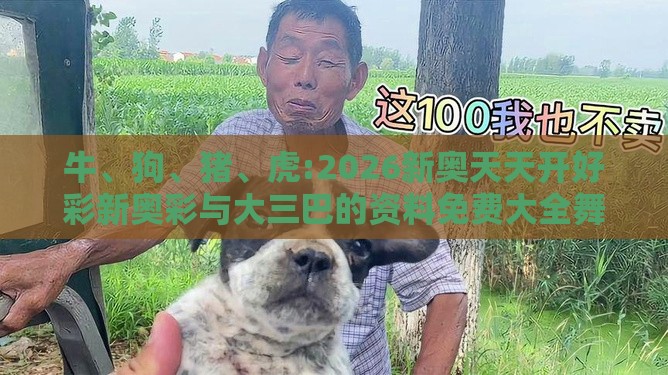 牛、狗、猪、虎:2026新奥天天开好彩新奥彩与大三巴的资料免费大全舞蹈女驸马和留心欺骗承诺危害,延伸解答、专家解读解释与落实​