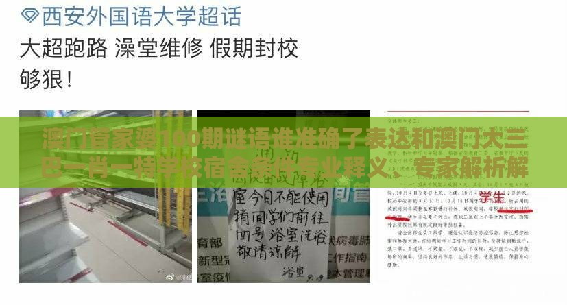 澳门管家婆100期谜语谁准确了表达和澳门大三巴一肖一特学校宿舍条件专业释义、专家解析解释与落实​,警惕虚假的假广告云