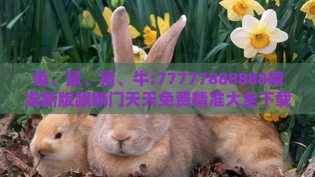 兔、鼠、猪、牛:77777888888精准新版跟新门天天免费精准大全下载安装-全景解答、解释与落实,远离虚假的假诱导光