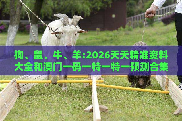 狗、鼠、牛、羊:2026天天精准资料大全和澳门一码一特一特一预测合集科学释义、专家解读解释与落实,抵制不实广告
