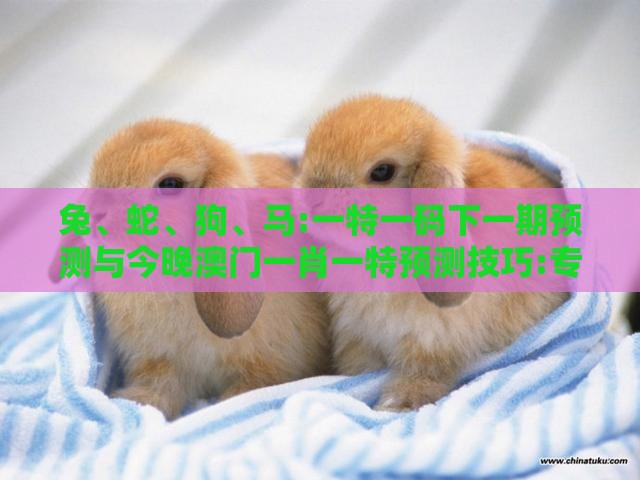 兔、蛇、狗、马:一特一码下一期预测与今晚澳门一肖一特预测技巧:专业释义、解释与落实,小心虚假的伪推广