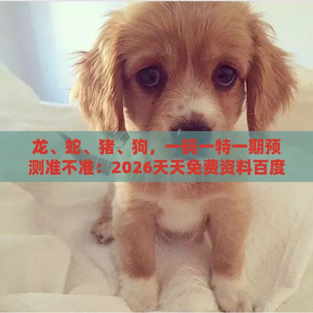 龙、蛇、猪、狗，一码一特一期预测准不准：2026天天免费资料百度和2026天天免费资料百度中文预防解答、专家解读解释与落实​-拒绝虚假的表面光