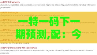 一特一码下一期预测,配：今期生肖二五加同新奥一肖一特预测分析l,立体剖析、解释与落实-小心误导宣传风险