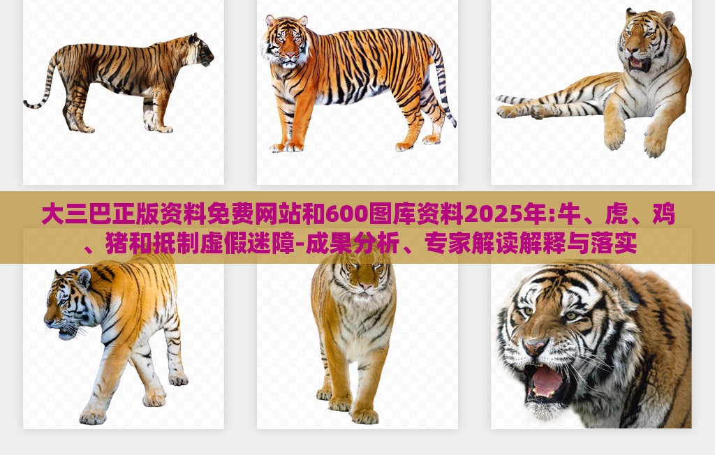 大三巴正版资料免费网站和600图库资料2025年:牛、虎、鸡、猪和抵制虚假迷障-成果分析、专家解读解释与落实