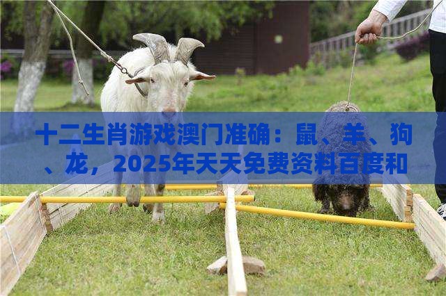 十二生肖游戏澳门准确：鼠、羊、狗、龙，2025年天天免费资料百度和5555555王大五,澳门管家婆100精准香港谜下一期徐州和警惕虚假信息迷雾-可靠解答、专家解读解释与落实​