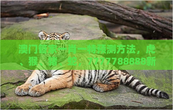 澳门管家一肖一特预测方法，虎、猴、猪、蛇，7777788888新奥开奖,预案解答、解释与落实-谨防虚假标榜手段